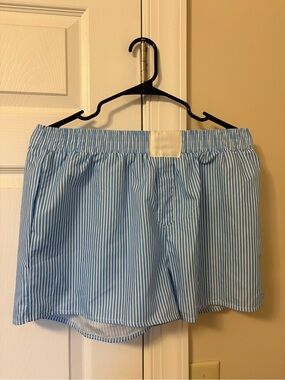 Light Blue Stripe Women's Elastic Waist Shorts
